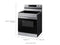 SAMSUNG NE63A6111SS 6.3 cu. ft. Smart Freestanding Electric Range with Steam Clean in Stainless Steel