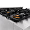 ZLINE KITCHEN AND BATH RABRGR30 ZLINE 30 in. 4.0 cu. ft. Electric Oven and Gas Cooktop Dual Fuel Range with Griddle and Brass Burners in Stainless Steel (RA-BR-GR-30)