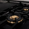 ZLINE KITCHEN AND BATH BRASSBR48 ZLINE Brass Burners (BRASSBR) [Size: 48 inch]